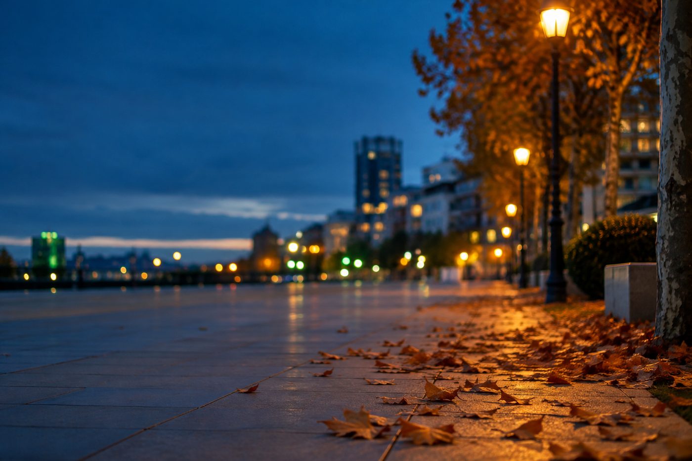 Paseo de una ciudad al atardecer con hojas de otoño